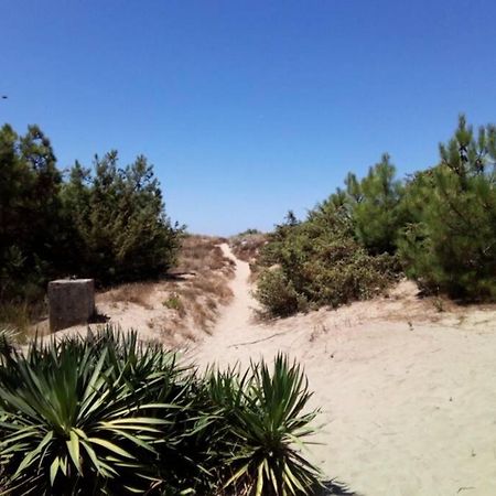 Casa Nel Parco Sulla Spiaggia Pisa Luaran gambar