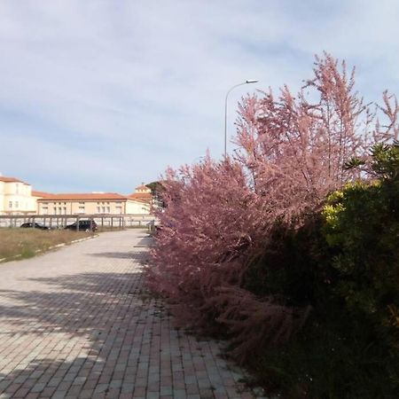 Casa Nel Parco Sulla Spiaggia Pisa Luaran gambar