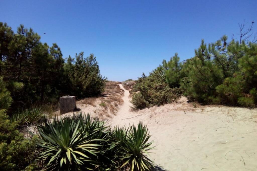 Casa Nel Parco Sulla Spiaggia Pisa Luaran gambar