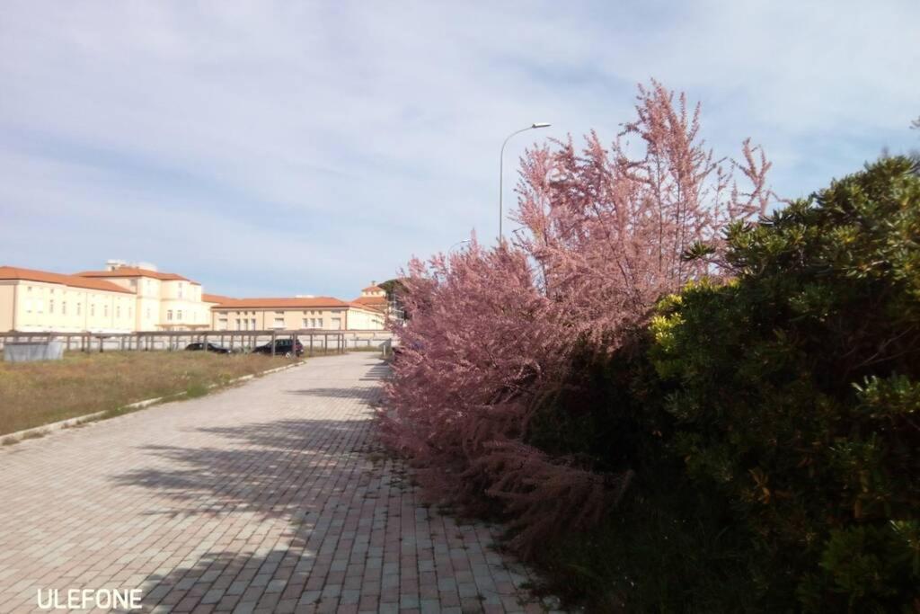 Casa Nel Parco Sulla Spiaggia Pisa Luaran gambar