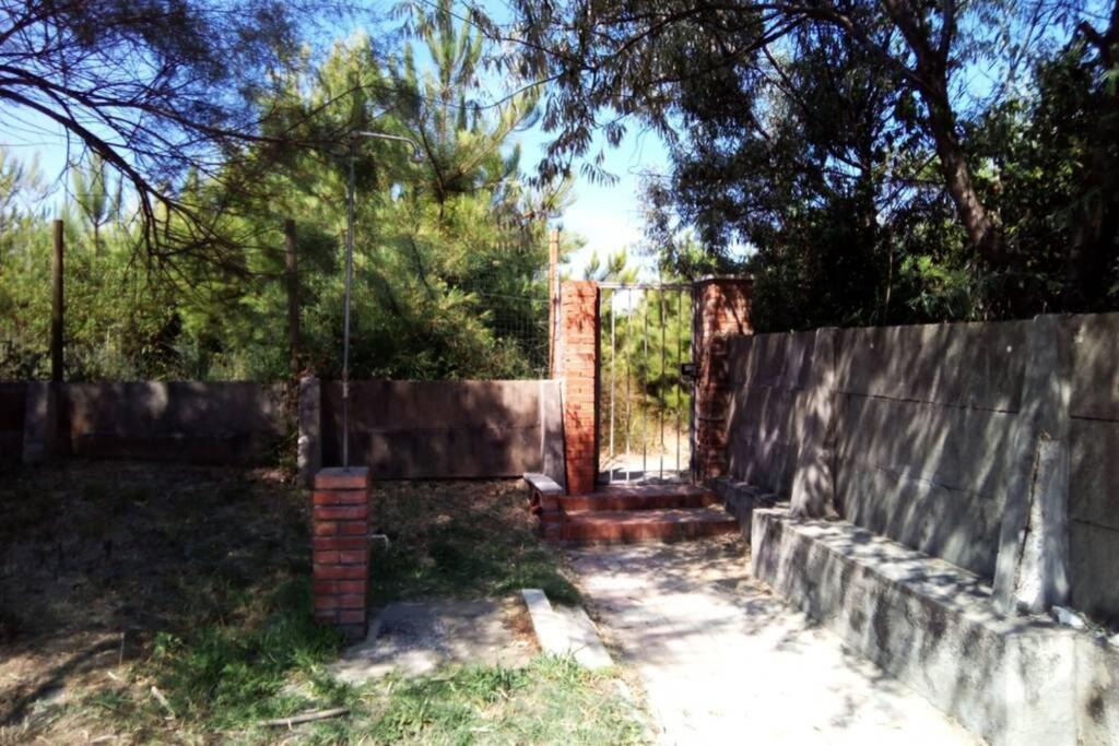 Casa Nel Parco Sulla Spiaggia Pisa Luaran gambar